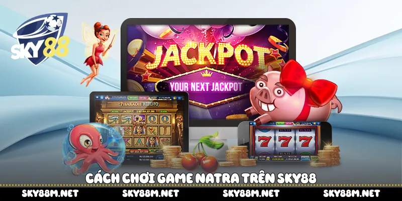 Cách chơi game Natra trên Sky88