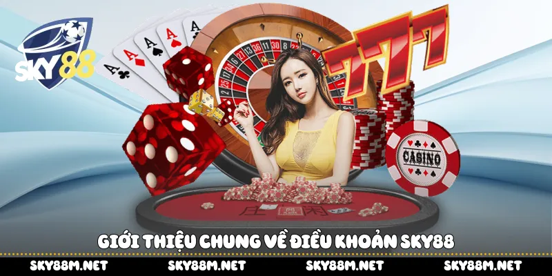 Giới thiệu chung về điều khoản Sky88