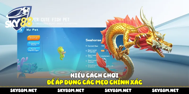 Hiểu cách chơi để áp dụng các mẹo chính xác