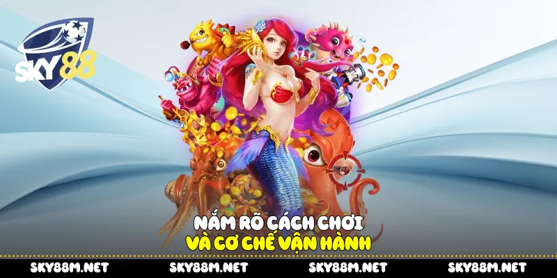 Nắm rõ cách chơi và cơ chế vận hành 